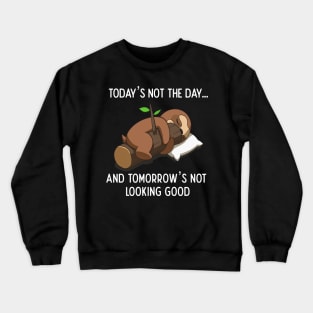 Today Is Not The Day Cute Lazy Funny Sloth Crewneck Sweatshirt